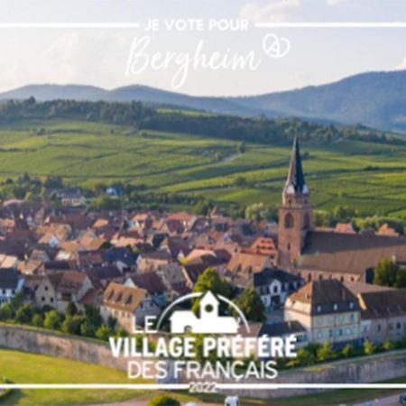 Ferienwohnung Vue Splendide Au Coeur Des Vignes Bergheim Exterior foto