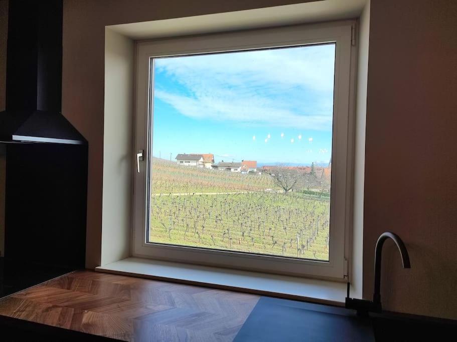 Ferienwohnung Vue Splendide Au Coeur Des Vignes Bergheim Exterior foto