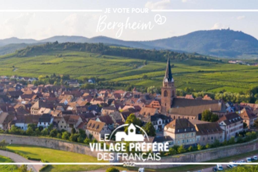Ferienwohnung Vue Splendide Au Coeur Des Vignes Bergheim Exterior foto