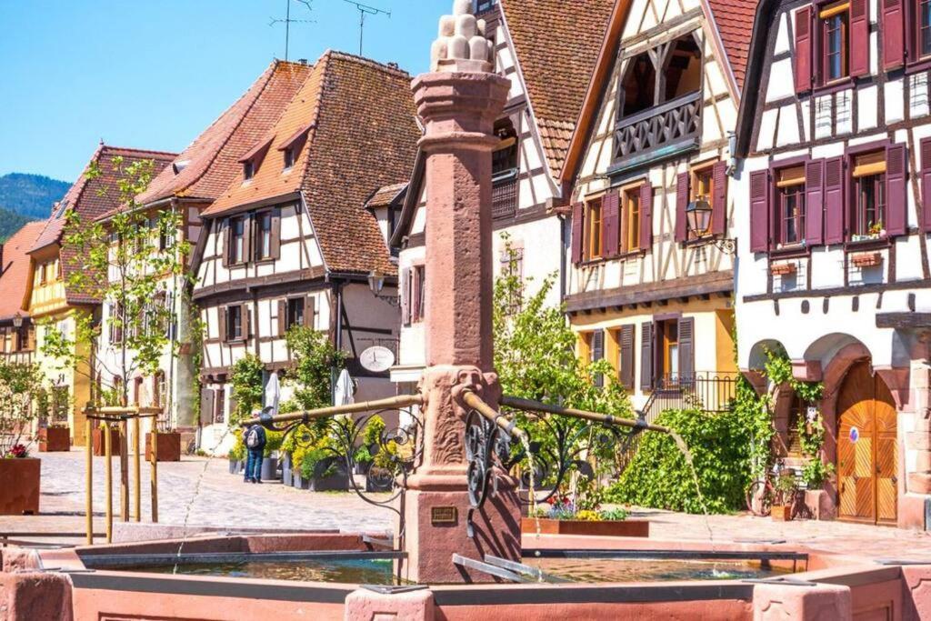 Ferienwohnung Vue Splendide Au Coeur Des Vignes Bergheim Exterior foto